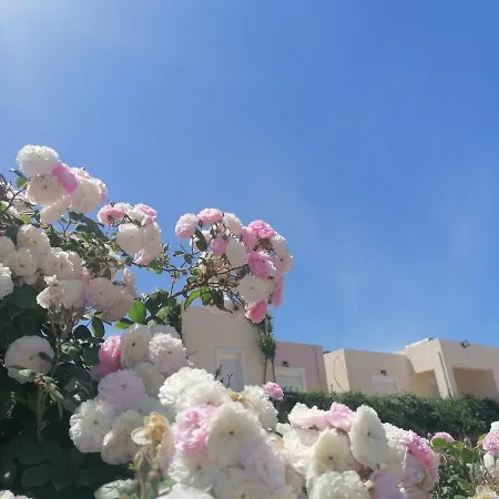 Mariliana Aparthotel 2*